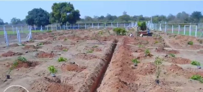 2 acres 10 guntas Land in Narsampalle, Siddipet - photo 1