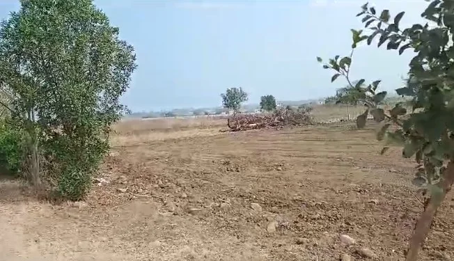21 guntas Land in Khanapur, Ranga Reddy - photo 1