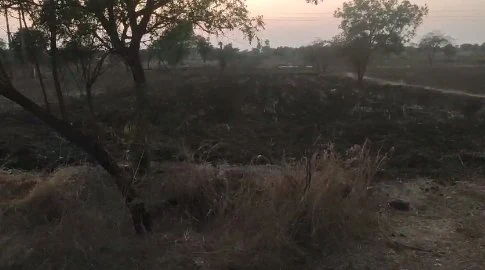 35 guntas Land in Mothkupalle, Vikarabad - photo 1