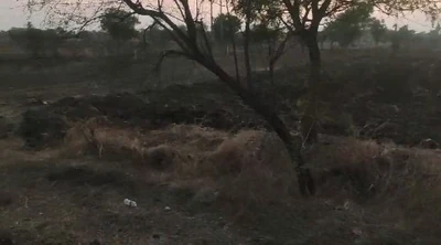 35 guntas Land in Mothkupalle, Vikarabad - photo 2