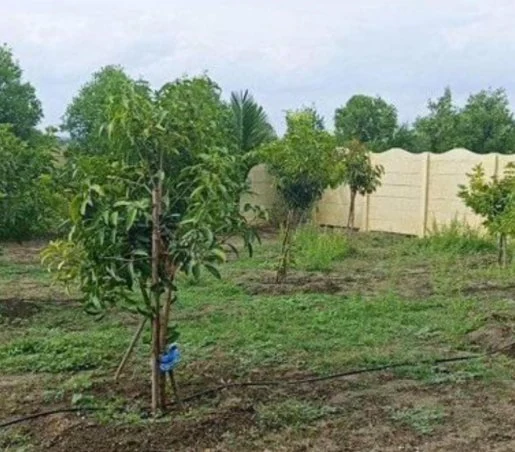 12 guntas Land in Malkapur, Ranga Reddy - photo 1