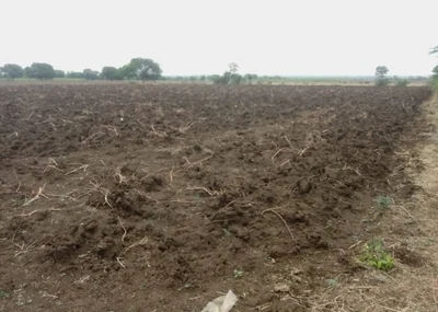 2 acres 8 guntas Land in Rejinthal, Sangareddy - photo 2