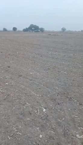 1 acre Land in Cheberthy, Siddipet - photo 1