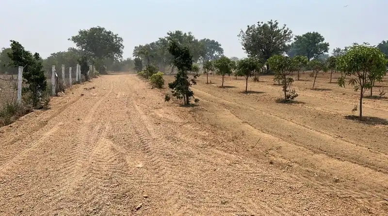 1 acre Land in Mudimyal, Ranga Reddy - photo 1