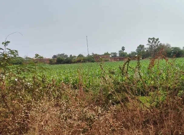 8 acres 7 guntas Land in Khaleelpur[M], Sangareddy - photo 1