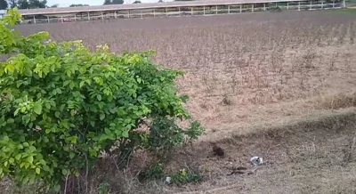 1 acre 11 guntas Land in Cheberthy, Siddipet - photo 2