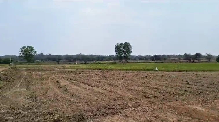 20 guntas Land in Gadsingapur, Vikarabad - photo 1