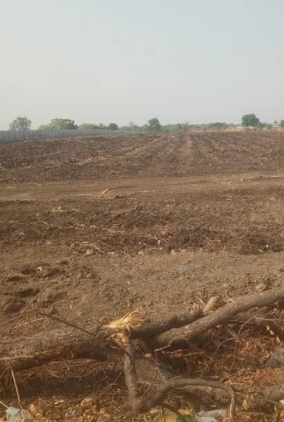 3 acres 11 guntas Land in Ebbanoor, Vikarabad - photo 1