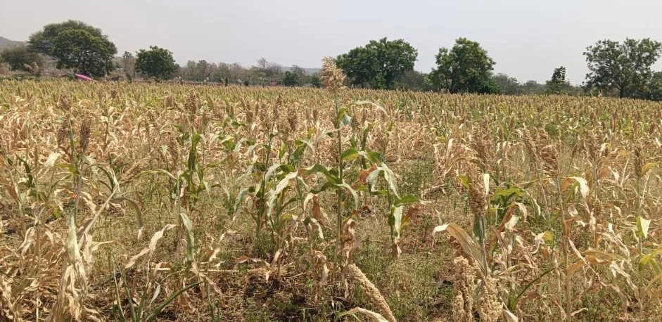 1 acre 39 guntas Land in Ebbanoor, Vikarabad - photo 1