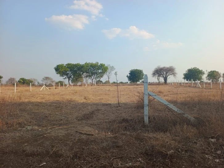 27 guntas Land in Aloor I, Ranga Reddy - photo 1