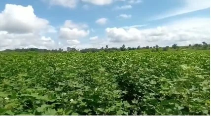 30 acres Land in Syedpalle, Vikarabad - photo 1