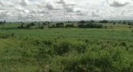 30 acres Land in Syedpalle, Vikarabad - photo 3