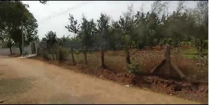 1 acre 3 guntas Land in Chilla Sagar, Siddipet - photo 1