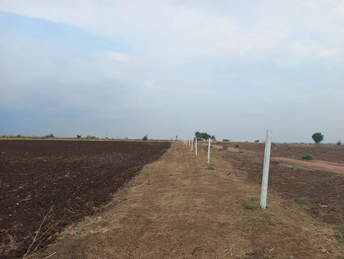 15 guntas Land in Aloor II, Ranga Reddy - photo 1