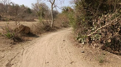 1 acre 10 guntas Land in Kamalapur, Vikarabad - photo 5