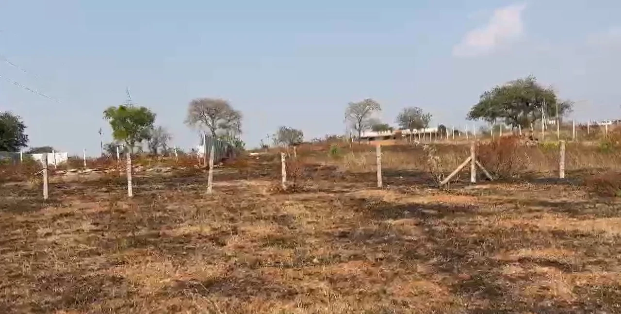 15 guntas Land in Aloor I, Ranga Reddy - photo 1