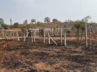 15 guntas Land in Aloor I, Ranga Reddy - photo 4