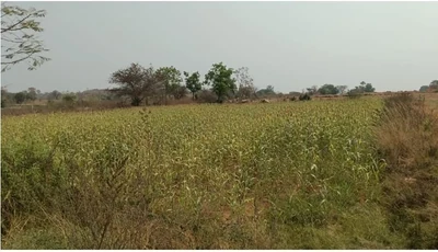 2 acres Land in Kamalapur, Vikarabad - photo 2