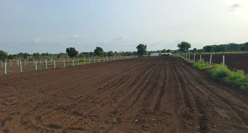 1 acre Land in Devuni Erravelly, Ranga Reddy - photo 1