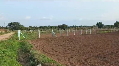1 acre Land in Devuni Erravelly, Ranga Reddy - photo 4