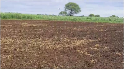 32 guntas Land in Metalkunta, Sangareddy - photo 3