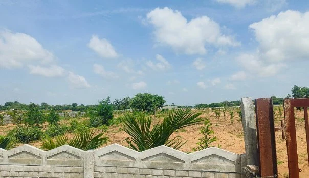 4 acres Land in Chippalpalle, Ranga Reddy - photo 1