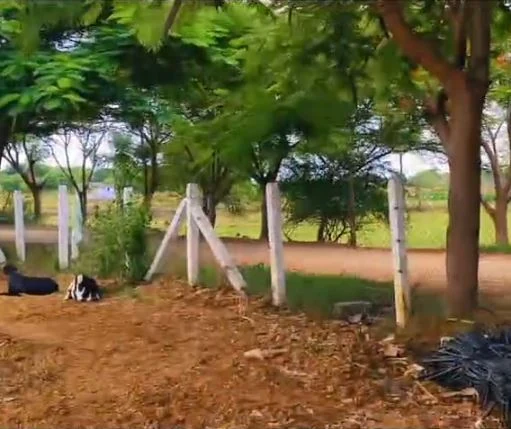 1 acre 5 guntas Land in Wargal, Siddipet - photo 1