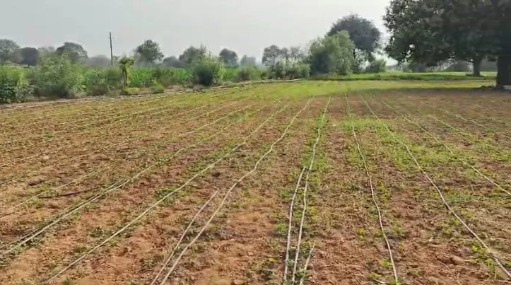 3 acres Land in Chandapur, Siddipet - photo 1