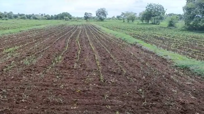 5 acres Land in Godegarpalle (Patti Dhanasiri), Sangareddy - photo 1