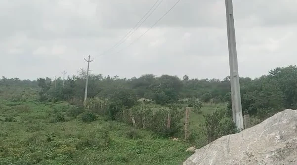 21 acres Land in Timmapur, Ranga Reddy - photo 1