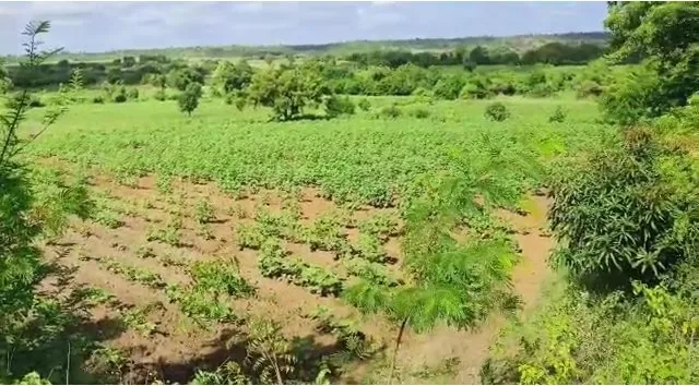 4 acres Land in Dappur, Sangareddy - photo 1