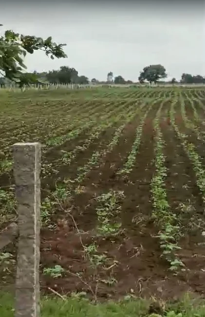 4 acres Land in Pargi, Vikarabad - photo 1