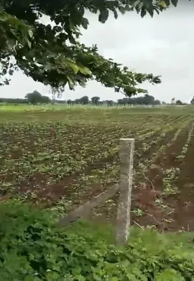4 acres Land in Pargi, Vikarabad - photo 4
