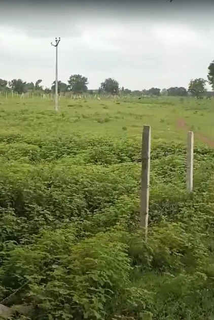 8 acres Land in Pargi, Vikarabad - photo 1