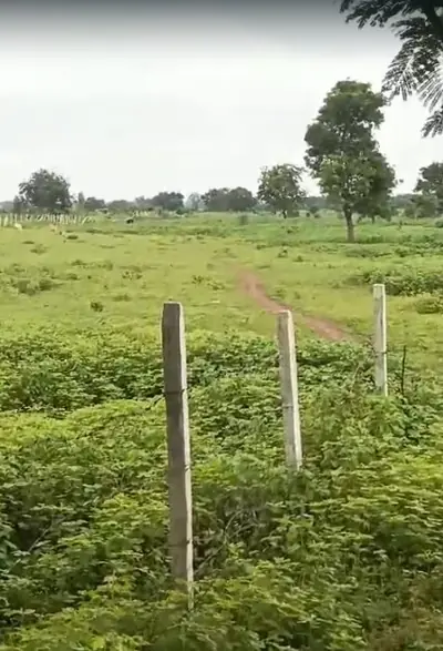 8 acres Land in Pargi, Vikarabad - photo 2