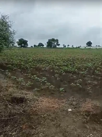 3 acres 22 guntas Land in Barkatpalle, Vikarabad - photo 1