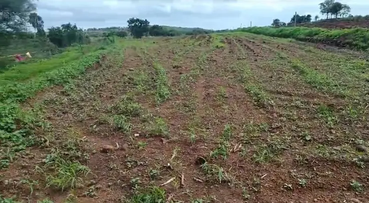 1 acre Land in Khudavanpur, Vikarabad - photo 1
