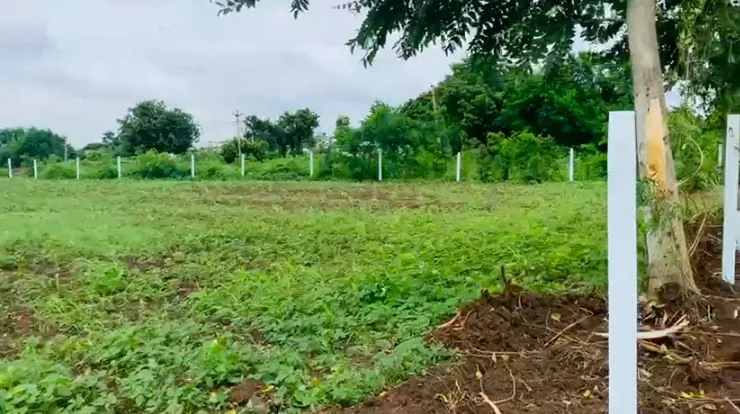 17 guntas Land in Khanapur, Ranga Reddy - photo 1