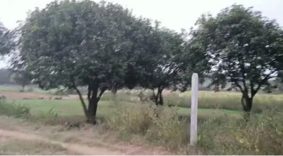 10 guntas Land in Rangampalle, Vikarabad - photo 1