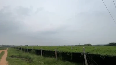 14 acres 19 guntas Land in Damarakunta, Siddipet - photo 2