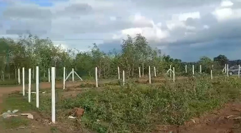 21 guntas Land in Kanduwada, Ranga Reddy - photo 1