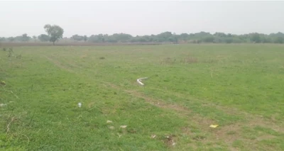 7 acres 19 guntas Land in Kokat, Vikarabad - photo 3