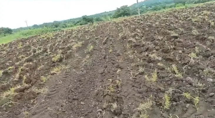 15 guntas Land in Tekur, Sangareddy - photo 1