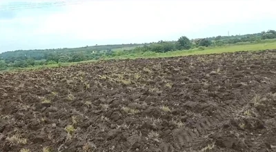 15 guntas Land in Tekur, Sangareddy - photo 3