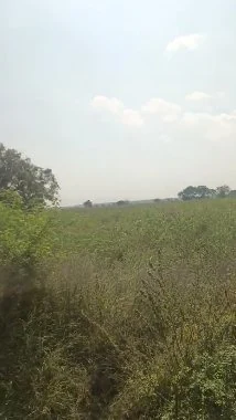 4 acres 2 guntas Land in Dhanasiri, Sangareddy - photo 1