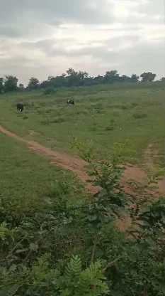 4 acres Land in Sivareddipalle, Vikarabad - photo 1