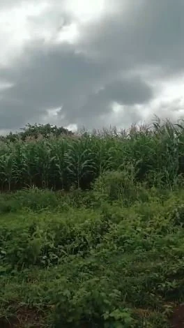 1 acre Land in Tondapalle, Vikarabad - photo 1