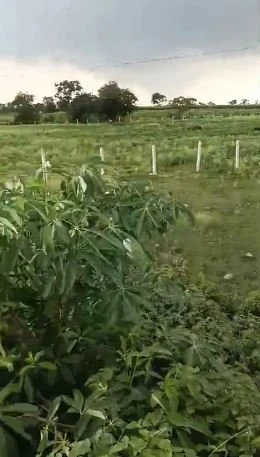 26 guntas Land in Sivareddipalle, Vikarabad - photo 1