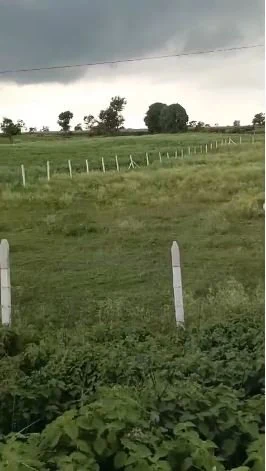 26 guntas Land in Sivareddipalle, Vikarabad - photo 2