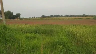 1 acre 4 guntas Land in Kesaram, Vikarabad - photo 1